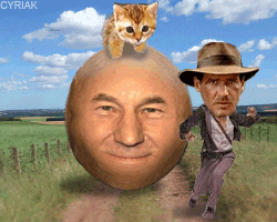 indy-picard.gif